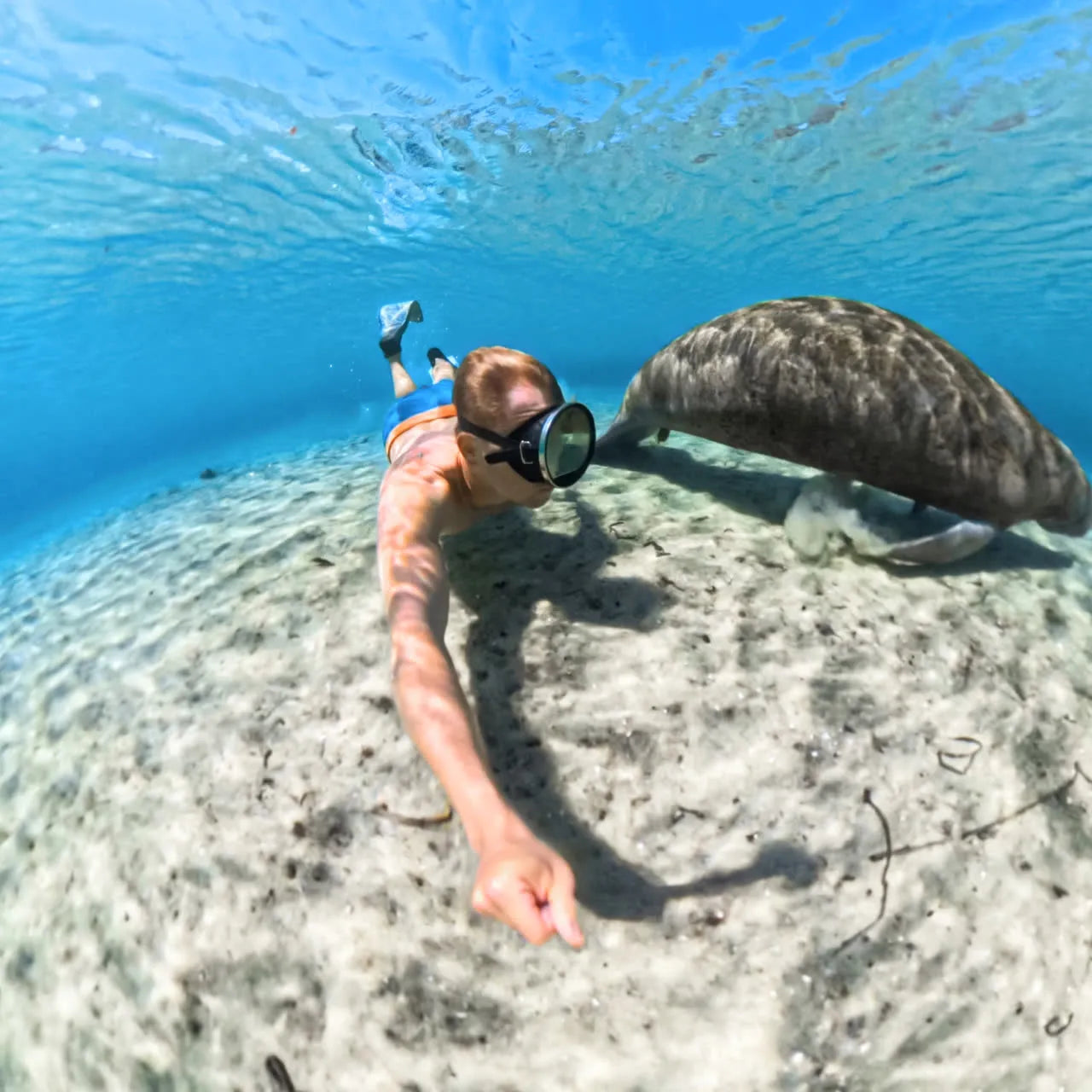 Insta360 X5 Invisible Dive Case 隱形潛水殼