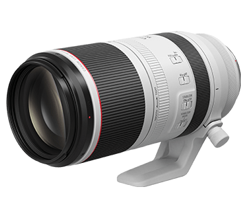 租借 - Canon RF 100-500mm F4.5-7.1 L IS USM 鏡頭